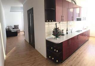 Апартаменты VIP Apartament in the center Трускавец Номер-студио с видом на горы-43